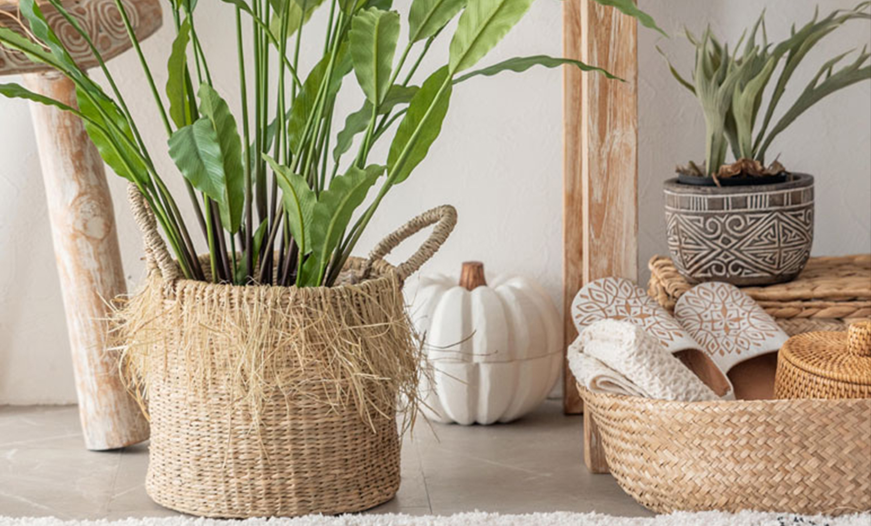 初めての観葉植物。おしゃれに見せるなら、高さのある植物と鉢カバーが