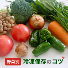 野菜は早めの冷凍保存がメリット大！【野菜別】適した保存方法