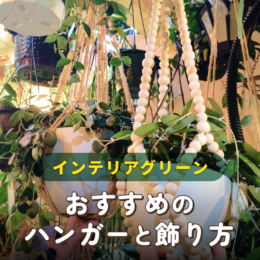 インテリアグリーンを楽しむアイデア！おすすめのハンガーと飾り方